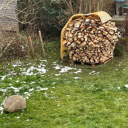 Zwergdackeladlerhirsch * Beuron