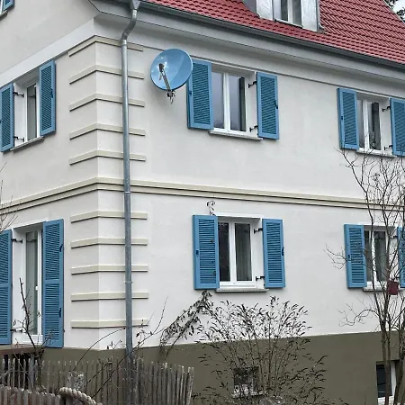 Zwergdackeladlerhirsch Beuron