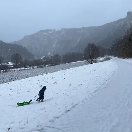 Zwergdackeladlerhirsch Beuron