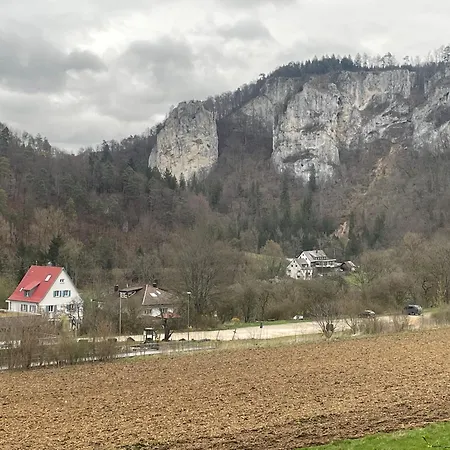 Zwergdackeladlerhirsch *