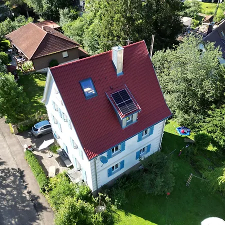 Zwergdackeladlerhirsch * Beuron