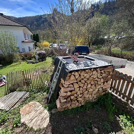 Apartment Zwergdackeladlerhirsch Beuron